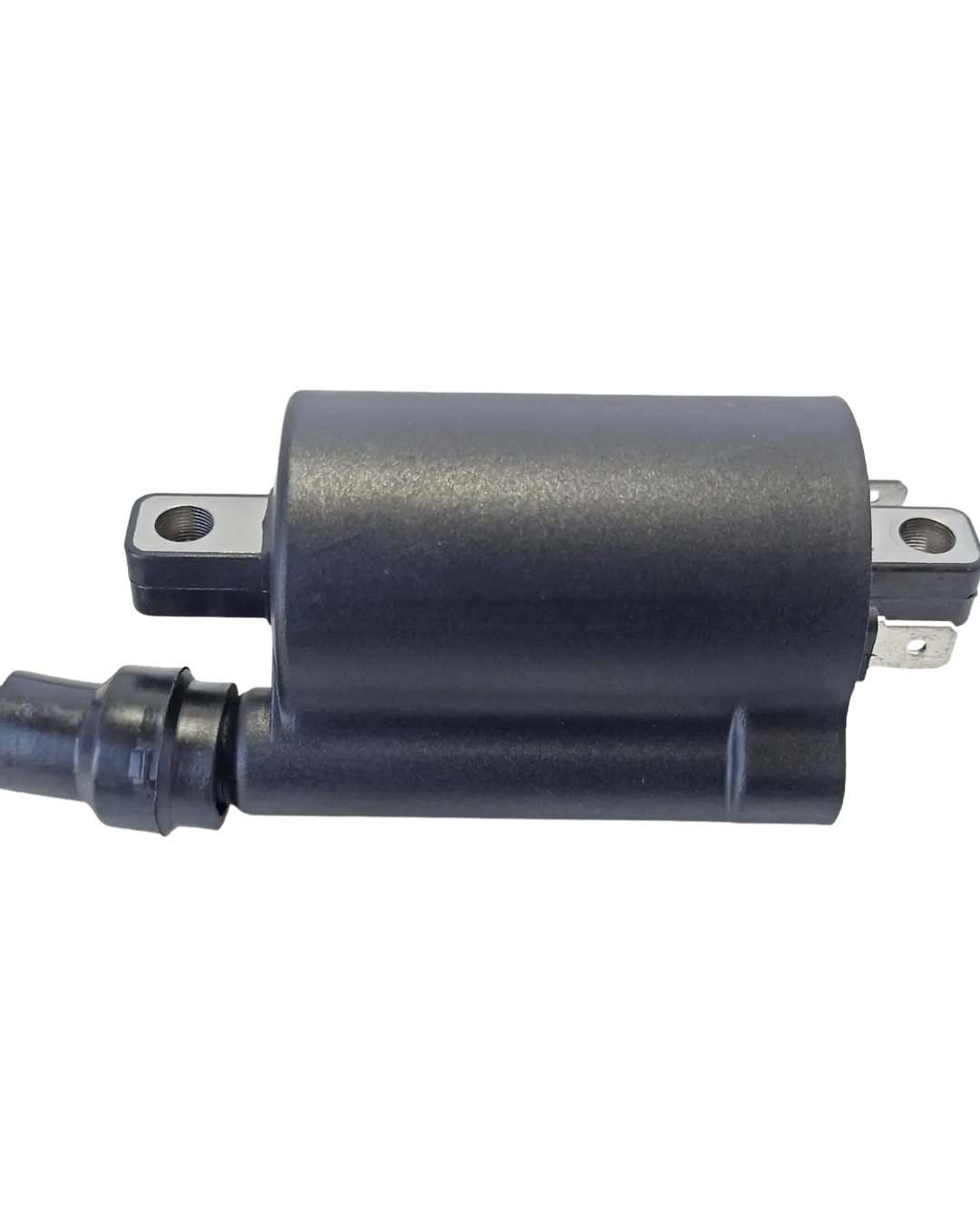 Bobina Ignicao Cb 300r 09/15 Modelo Origina - Imagem 3